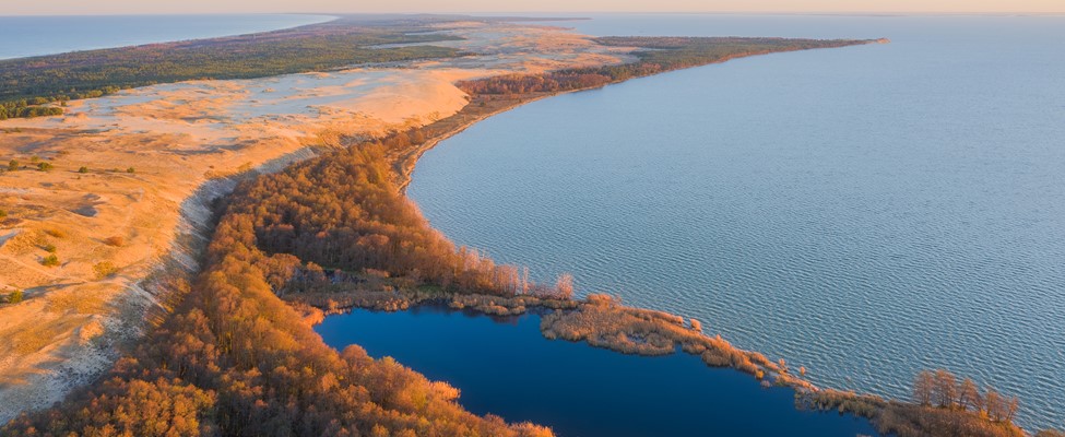 Озеро Лебедь Осень